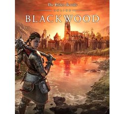 Prueba The Elder Scrolls Online: Blackwood: una extensión sin ambición