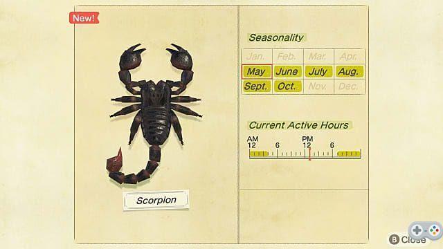 Animal Crossing New Horizons: Guide de capture de scorpions