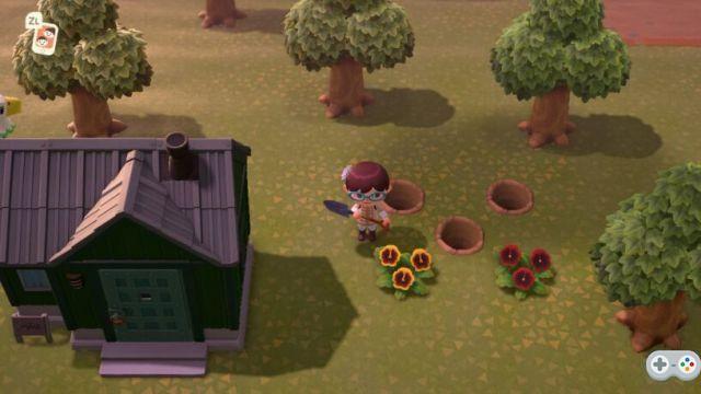 Animal Crossing: Guia de flores híbridas da New Horizons