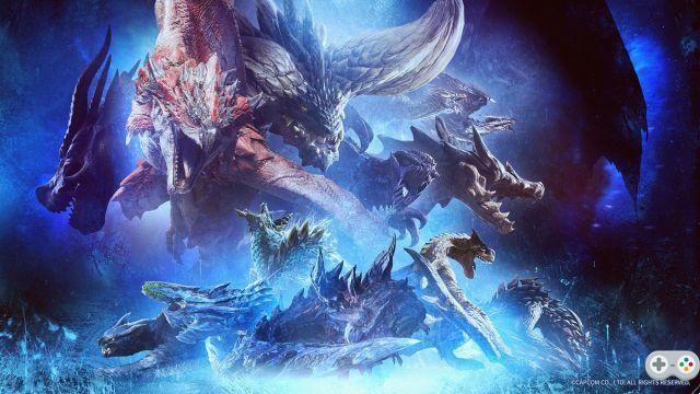 Monster Hunter turns 18: what future for the series?