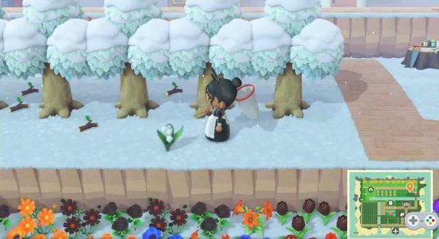 Animal Crossing New Horizon: esto es lo que obtienes con una isla de 5 estrellas
