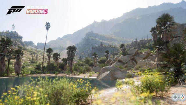Forza Horizon 5: a FAQ tells us everything you need to know before the game's release