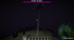 Defeat the Ender Dragon