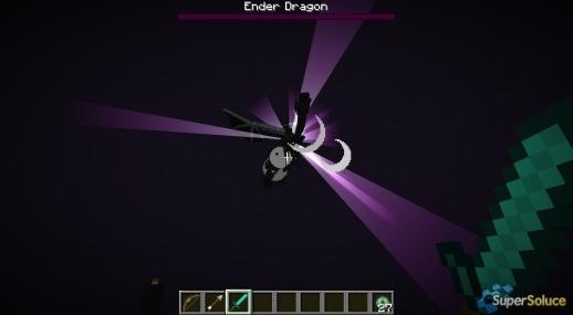 Defeat the Ender Dragon
