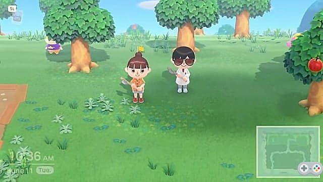 Animal Crossing New Horizons Multiplayer and Co-op Guide