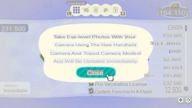 Cómo obtener y usar la cámara profesional en Animal Crossing: New Horizons